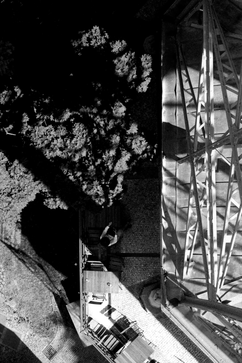 Aerial view of person by tree and structure.