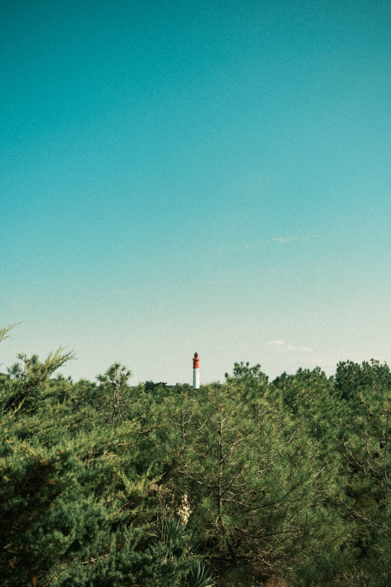 Faro che fa capolino sopra la chioma verde della foresta.